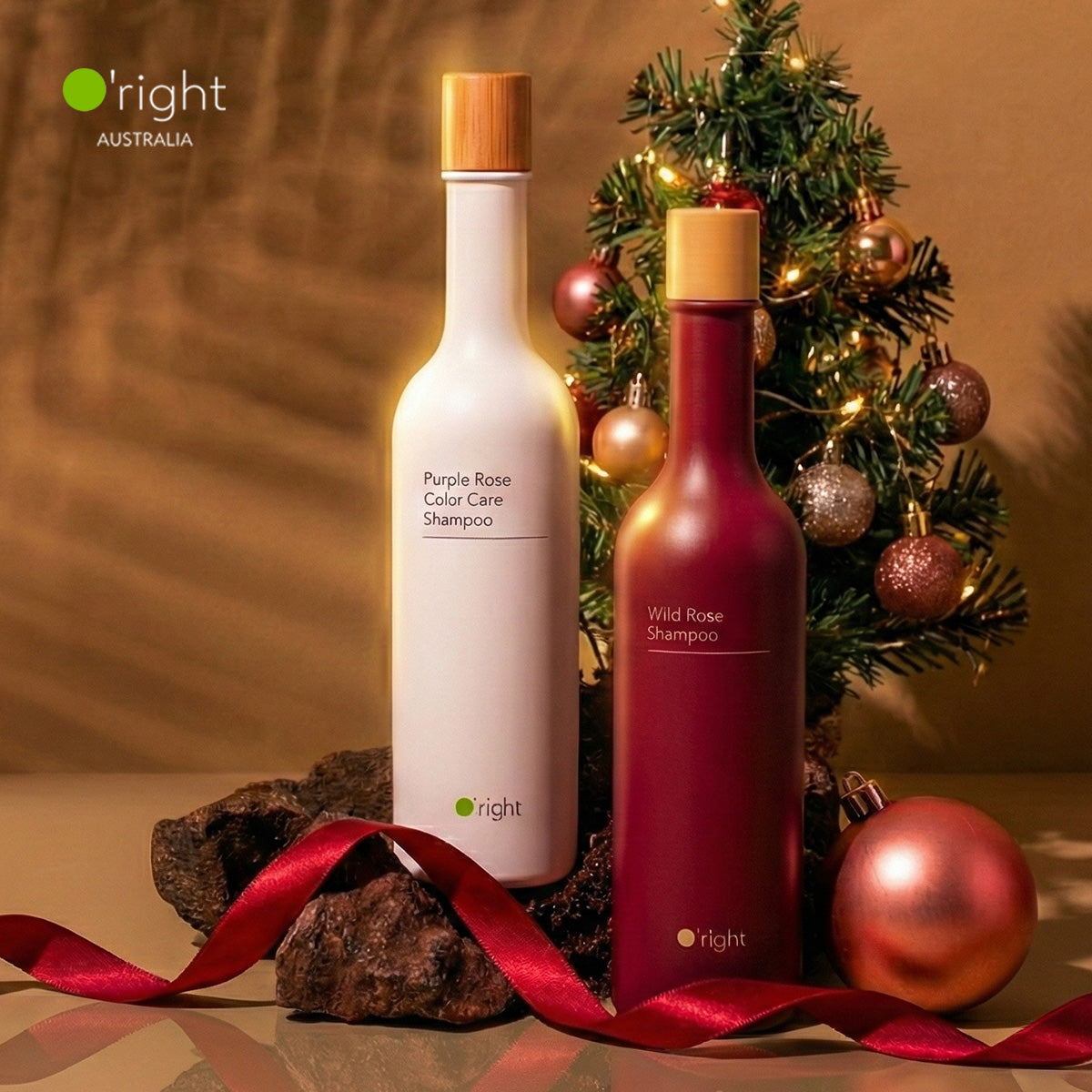 Shine & Repair Bundle